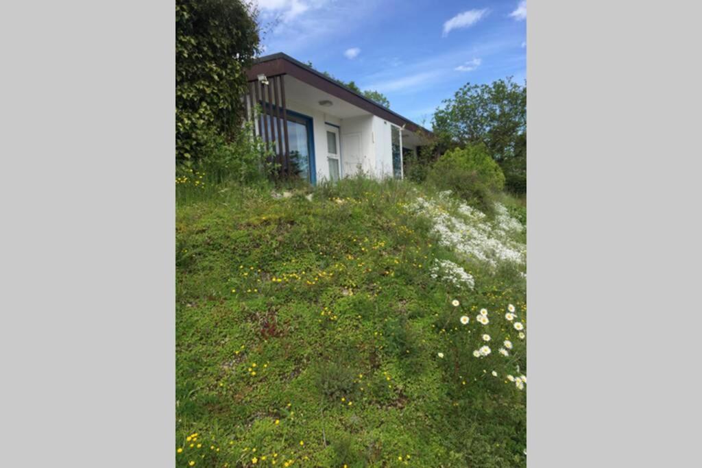 Idyllisch Wohnen Im Weserbergland - Kompletter Bungalow Auf Eigenem Grundstueck Villa Polle Exterior photo