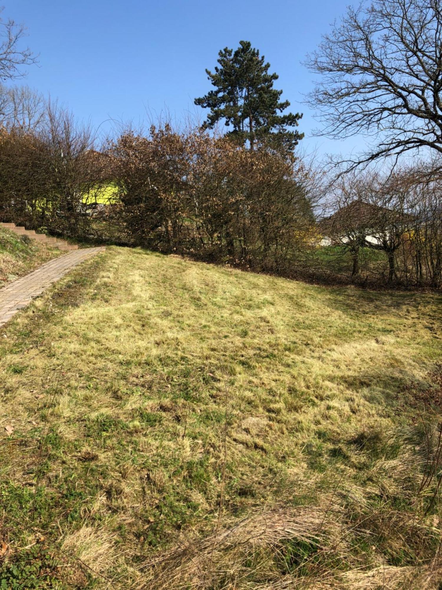 Idyllisch Wohnen Im Weserbergland - Kompletter Bungalow Auf Eigenem Grundstueck Villa Polle Exterior photo